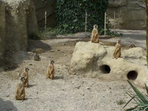 zagreb-zoo_1692284308